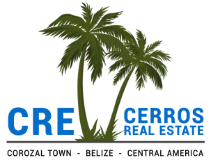 cerros-real-estate-logo-transparent